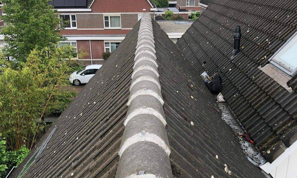 Nokvorsten Hasselt